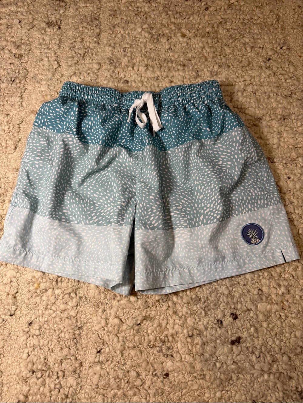 chubbies Teal Ombre Stripe Swim Shorts with Drawstring